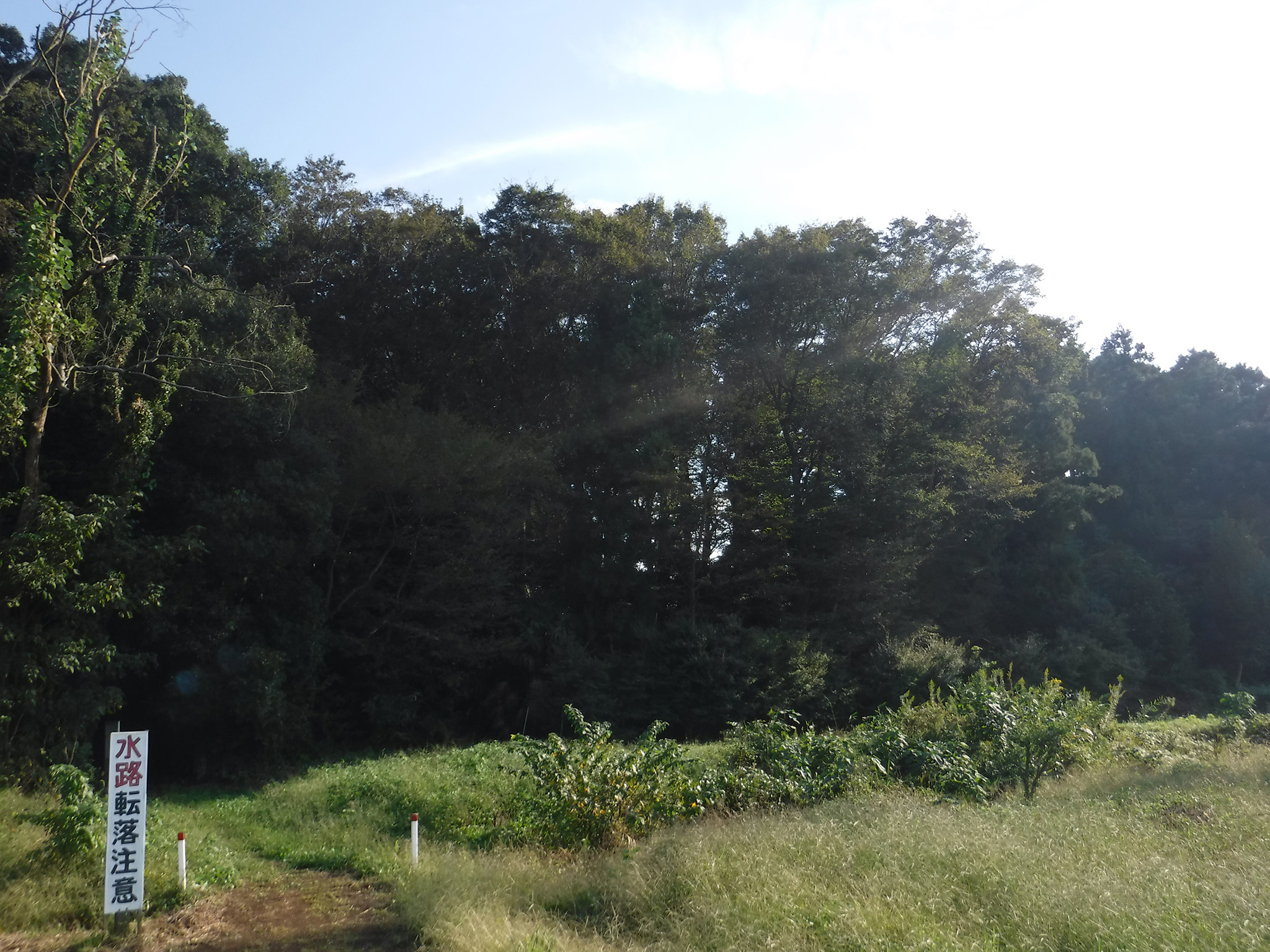 蓮田市堀の内ふるさとの緑の景観地 埼玉みどりのポータルサイト